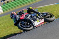 PJ-Motorsport-Photography-2018;enduro-digital-images;event-digital-images;eventdigitalimages;mallory-park;mallory-park-photographs;mallory-park-trackday;mallory-park-trackday-photographs;no-limits-trackdays;peter-wileman-photography;racing-digital-images;trackday-digital-images;trackday-photos